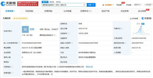 信息系統集成服務的核心價值與現代應用